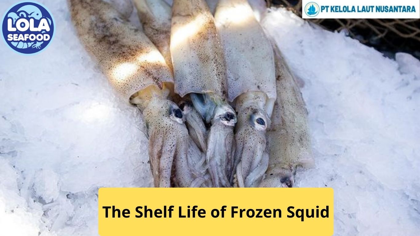 The Shelf Life of Frozen Squid